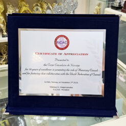 Plaketa metalliki (2)